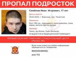 Босоногий воронежский подросток пропал в Тенистом