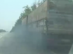 Подкоптившего воронежскую трассу убийцу экологии сняли на видео