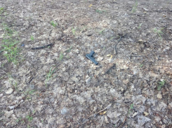 В криминальном квартале Воронежа мужчина нашел выброшенный пистолет