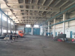 Воронежское сельхозпредприятие пустят с молотка за 773 млн рублей