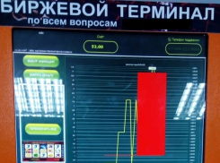 Финансовая неграмотность или, почему воронежцы при виде биржевого терминала сразу звонят в полицию