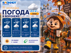 Пора на осеннюю прогулку: прогноз погоды в Воронеже 