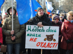 В Воронеже в митинге в честь Дня народного единства приняли участие пять тысяч человек