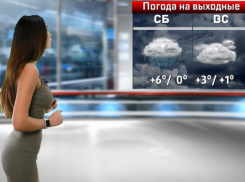 Снег и дождь принесут выходные в Воронежскую область 