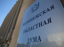  Денежную компенсацию за свою работу продолжат получать депутаты Воронежской облдумы 