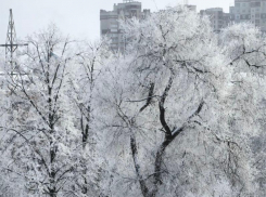 Каких погодных сюрпризов ждать от последней недели января в Воронеже? 