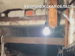 Непрошеные подарки вместо помощи с вонючей проблемой получили воронежцы