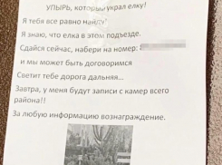«Я тебя все равно найду», – воронежец разыскивает вора, укравшего елку