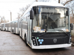 Стало известно, на какие маршруты выйдут автобусы-гармошки в Воронеже