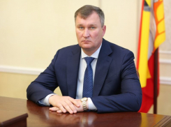 Строительный блок мэрии Воронежа обрел голову