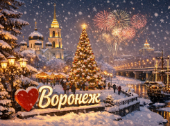 Какой погодой встретит Воронеж Новый 2026 год