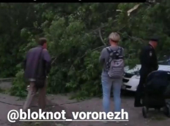 Дерево разворотило машину в центре Воронежа 