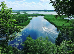 Протаранивший лодку водитель гидроцикла под Воронежем сдался силовикам