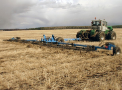 В Воронежской области посеяли 30 тысяч гектар зерновых культур