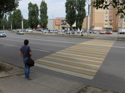 Все пешеходные переходы Воронежа планируют сделать регулируемыми