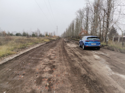 Воронежские дачники стали заложниками бездорожья 