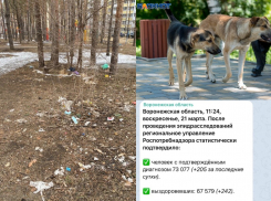 Коронавирус в Воронеже 21 марта: +205 зараженных, 16 смертей и собачий укус за ягодицу 