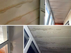 Как получить деньги на ремонт жилья?