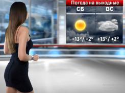 Антициклон подарит воронежцам сухую погоду на выходных