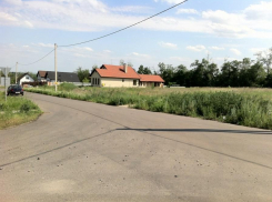 Воронежцы гуляли по лесополосе и нашли два артиллерийских снаряда времен ВОВ