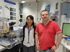 Чудодейственную защиту от кариеса придумали воронежские ученые