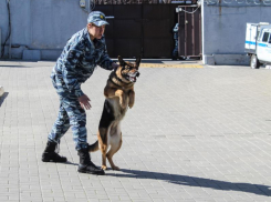 Воронежцев, отслуживших в армии, зовут охранять СИЗО за деньги 