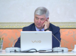 Почесывая ухо, Александр Гусев отчитал чиновников за отсутствие пандусов в воронежских новостройках