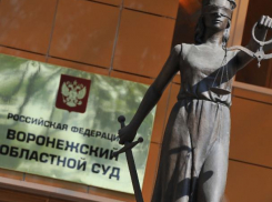 Экс-зампред воронежского облсуда избежал наказания за давление на судей