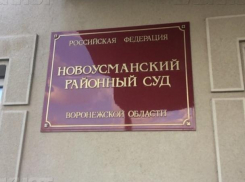 Под Воронежем у  антиникелевых активистов появился третий адвокат