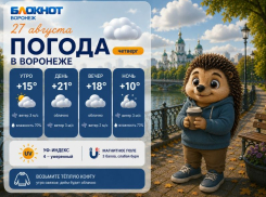 Утепляемся: прогноз погоды в Воронеже