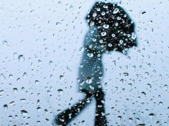 «Гнев Зевса» заставит воронежцев взяться за зонты