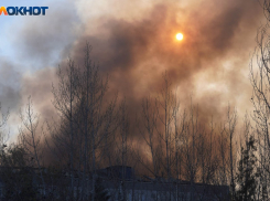 Взрывная волна от БПЛА нанесла повреждения в Воронежской области