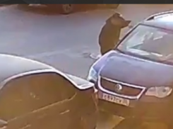 Воришка-меломан попал на видео в Воронеже