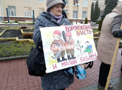 Предприниматели выступили против произвола чиновников мэрии Воронежа