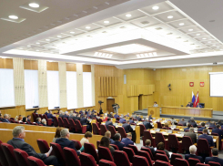 Облдума утвердила профицитный бюджет Воронежской области