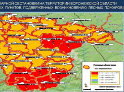 “Помните огненные уроки”: о чрезвычайной степени пожарной опасности предупредили воронежцев