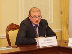 Бывший глава воронежского УГА Шевелев не стал обжаловать приговор