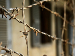 В Воронеже обворовавшие ювелирный салон преступники задержаны