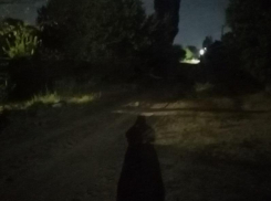 «Живём в гетто»: тоннель ужасов показали на левом берегу Воронежа