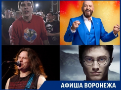 Куда сходить в Воронеже: Ночь Гарри Поттера, концерты Шуфутинского и Чижа