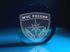 В Воронежской области на новогодних праздниках произошло 40 пожаров