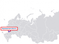 Воронежская область замерла на своей позиции в ковидной гонке регионов, несмотря на вспышку заболевания 