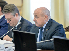 В воронежском Павловске намерены организовать не меньше 20 новых производств