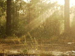 Дожди в Воронеже наконец закончатся через два дня 