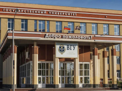  Учёные ВГУ стали лауреатами конкурса президентских грантов  