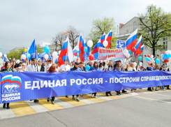 Доверие и недоверие воронежцев к «Единой России» почти сравнялись