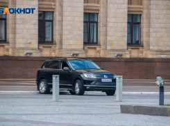 Депутата Госдумы будут катать по Воронежской области за миллион рублей