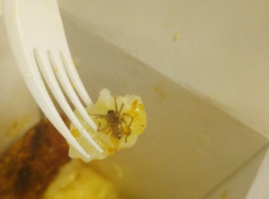 Тошнотворный сюрприз попался воронежцу в готовом обеде