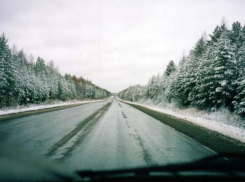 В Воронежской области погиб пассажир «Волги»