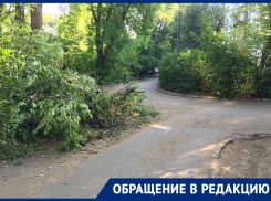 Благие намерения коммунальщиков возмутили жителей Воронежа